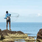 Things to Do in Weipa