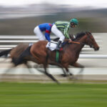 Everest Race Day